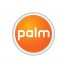 Palm (1)